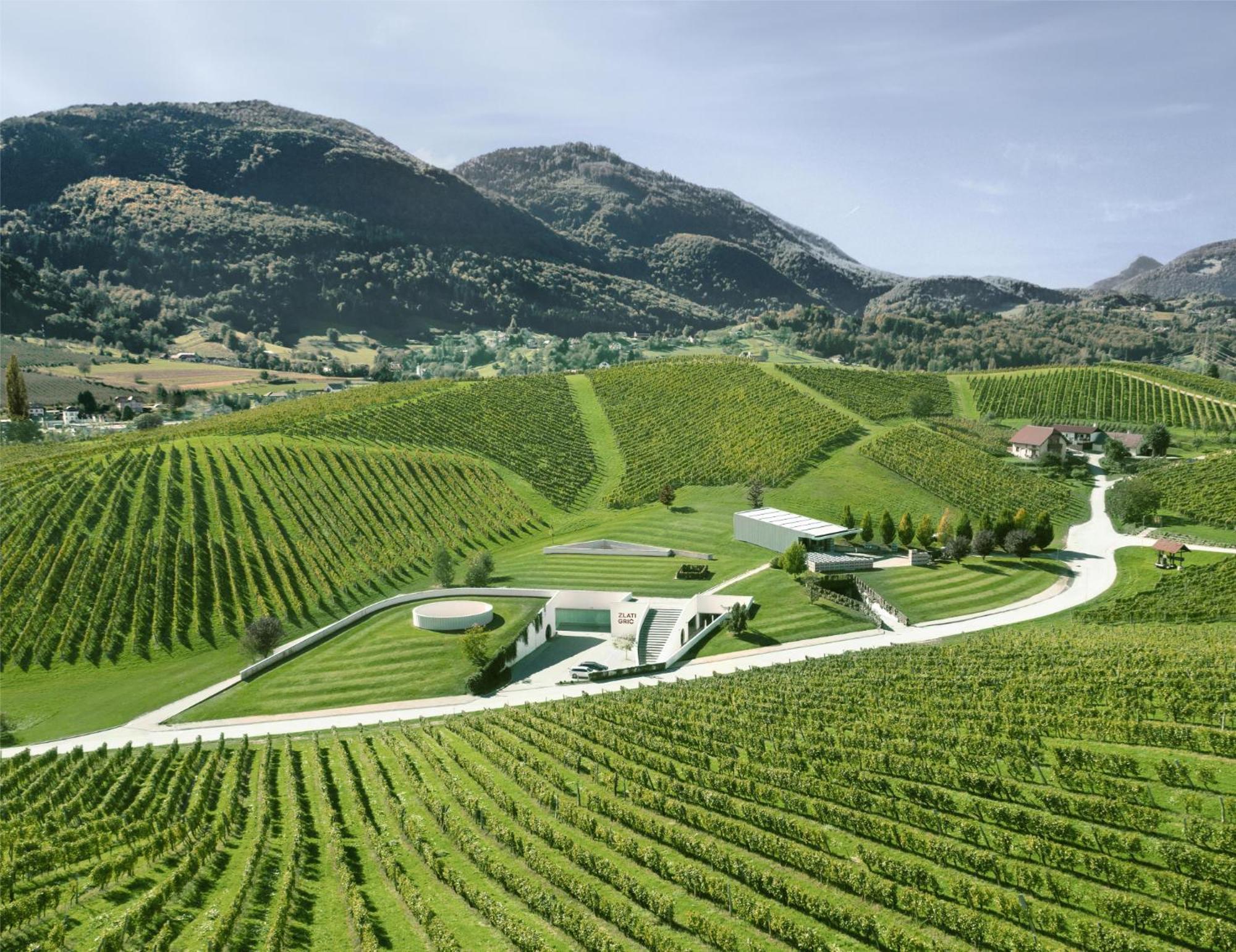 Apartamento Wine Grower'S Mansion Zlati Gric Slovenske Konjice Exterior foto
